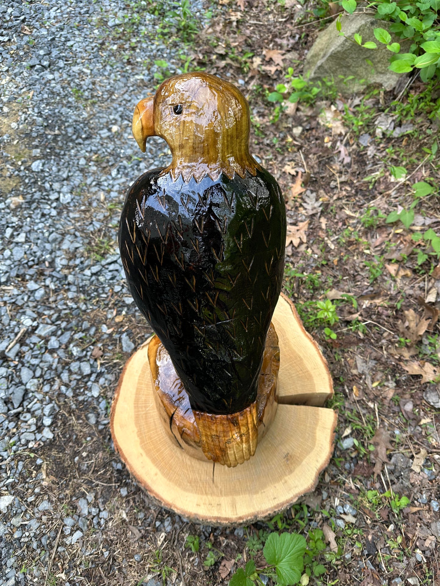 Eagle Carved from Stump
